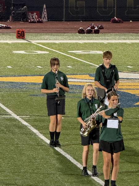 Clarinet, saxophone, and flute players on the field