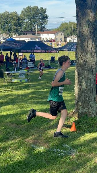 Irish runner in stride beside a tree