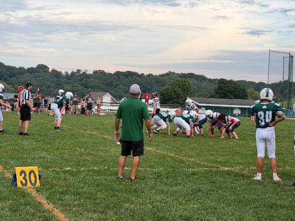 Irish coach watches from the sideline