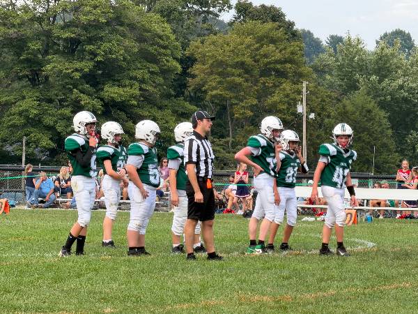 Irish players wait with the referee between plays