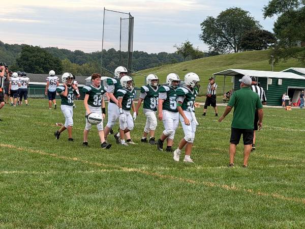 Irish players walk off the field together