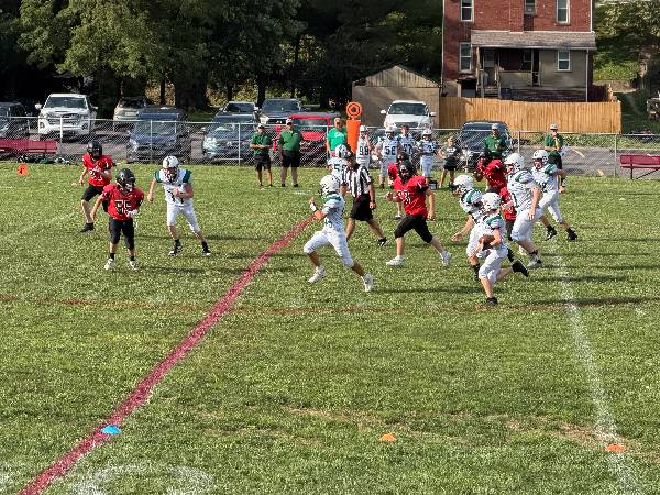 Irish ball carrier breaks into the open field