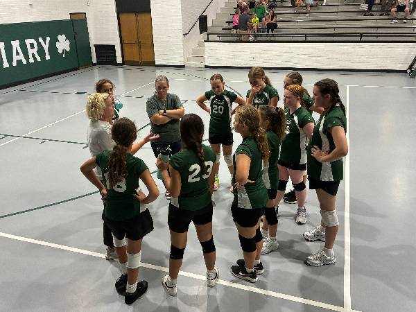 Volleyball coaches talk with the team during a match